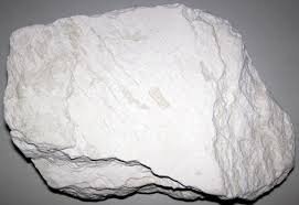 Diatomaceous Earth (Diatomite)
